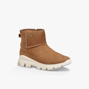 Ugg Palomar Women All-Weather Boots Brown (9316TPAJL)